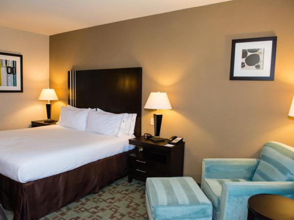 Holiday Inn Express Hotel & Suites Houston NW Beltway 8-West Road, an IHG Hotel : photo 2 de la chambre chambre lit king-size