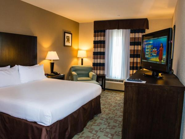 Holiday Inn Express Hotel & Suites Houston NW Beltway 8-West Road, an IHG Hotel : photo 1 de la chambre chambre lit king-size