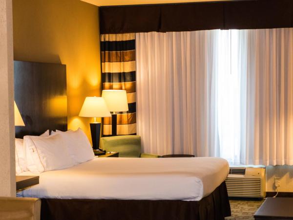 Holiday Inn Express Hotel & Suites Houston NW Beltway 8-West Road, an IHG Hotel : photo 6 de la chambre suite 1 chambre lit king-size avec canapé-lit
