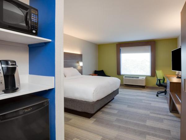 Holiday Inn Express Hotel & Suites Tampa-Fairgrounds-Casino, an IHG Hotel : photo 3 de la chambre chambre lit king-size standard