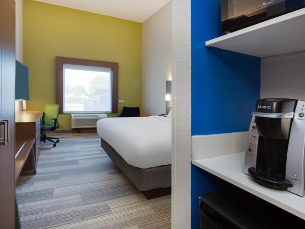 Holiday Inn Express Hotel & Suites Tampa-Fairgrounds-Casino, an IHG Hotel : photo 4 de la chambre chambre lit king-size standard