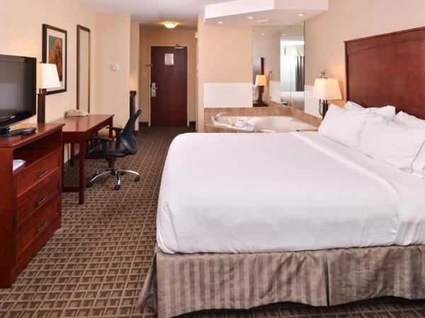 Holiday Inn Express Edmonton North, an IHG Hotel : photo 3 de la chambre suite lit king-size avec baignoire spa