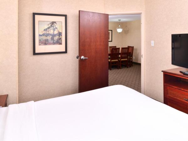 Holiday Inn Express Edmonton North, an IHG Hotel : photo 3 de la chambre suite lit queen-size avec canapé-lit