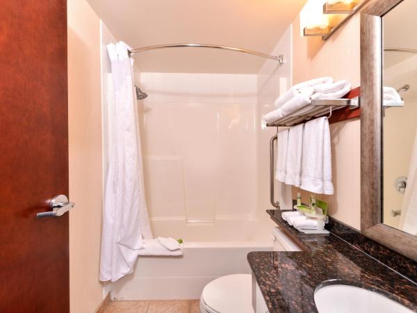 Holiday Inn Express Edmonton North, an IHG Hotel : photo 1 de la chambre chambre standard