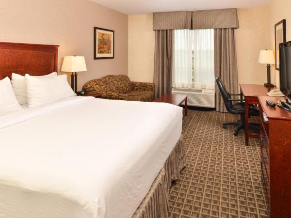 Holiday Inn Express Edmonton North, an IHG Hotel : photo 1 de la chambre chambre lit king-size pour personnes à mobilité réduite – douche accessible en fauteuil roulant - non-fumeurs