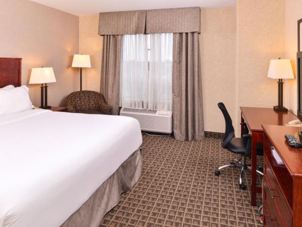 Holiday Inn Express Edmonton North, an IHG Hotel : photo 4 de la chambre chambre lit king-size standard