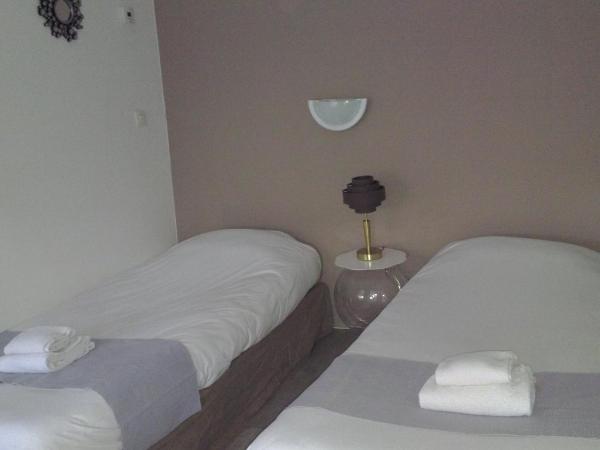 Hôtel Central : photo 4 de la chambre chambre lits jumeaux