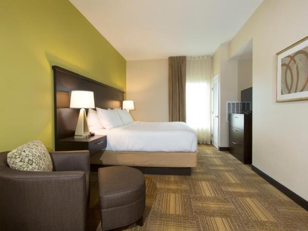 Staybridge Suites Orlando at SeaWorld, an IHG Hotel : photo 2 de la chambre suite 1 chambre lit king-size (sans frais de service)