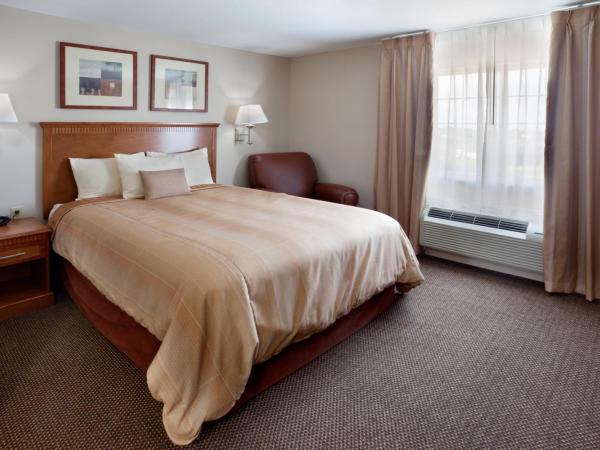 Candlewood Suites San Antonio NW Near SeaWorld, an IHG Hotel : photo 1 de la chambre suite studio lit queen-size