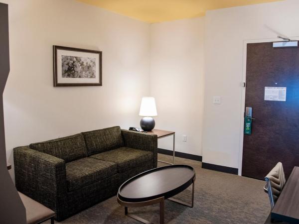 Holiday Inn & Suites - Savannah Airport - Pooler, an IHG Hotel : photo 4 de la chambre suite lit king-size – non-fumeurs