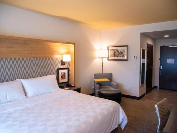 Holiday Inn & Suites - Savannah Airport - Pooler, an IHG Hotel : photo 6 de la chambre chambre lit king-size standard