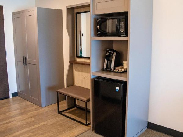 Holiday Inn & Suites - Savannah Airport - Pooler, an IHG Hotel : photo 5 de la chambre chambre lit king-size loisirs - non-fumeurs