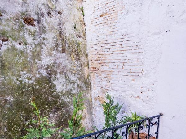 Alegria Pension : photo 4 de la chambre chambre triple avec salle de bains privative