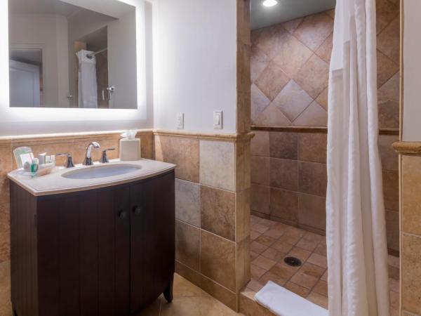 Holiday Inn and Suites Phoenix Airport North, an IHG Hotel : photo 2 de la chambre suite supérieure 