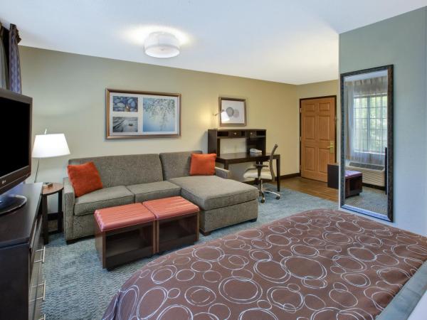 Staybridge Suites Louisville - East, an IHG Hotel : photo 1 de la chambre suite studio queen