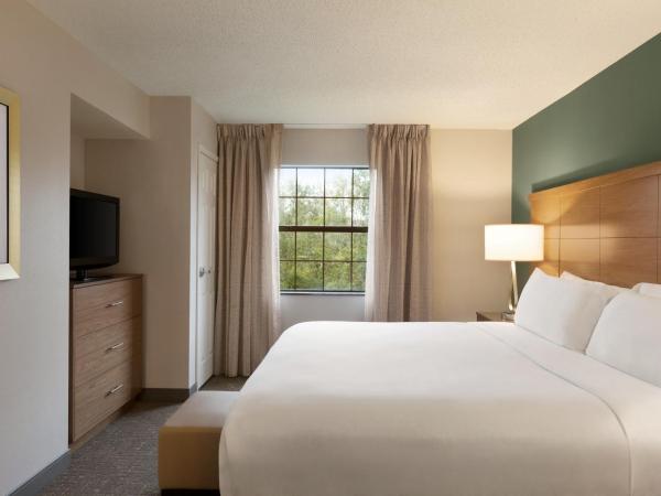 Staybridge Suites Tampa East- Brandon, an IHG Hotel : photo 3 de la chambre suite 1 chambre lit king-size avec canapé-lit