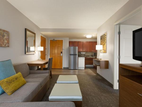 Staybridge Suites Tampa East- Brandon, an IHG Hotel : photo 4 de la chambre studio lit queen-size - accessible aux personnes à mobilité réduite