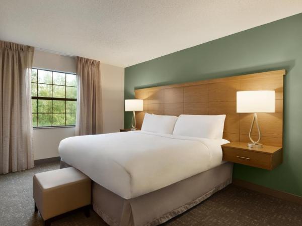Staybridge Suites Tampa East- Brandon, an IHG Hotel : photo 4 de la chambre suite 1 chambre lit king-size avec canapé-lit