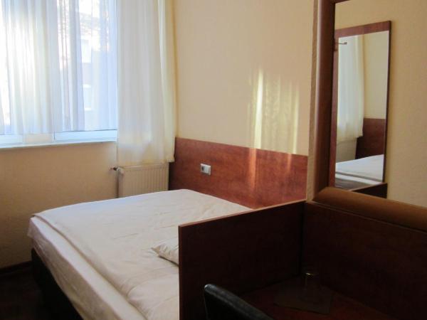 Altstadt Hotel Rheinblick : photo 4 de la chambre chambre simple avec toilettes communes