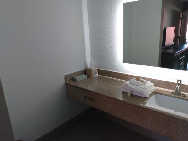 Gateway Inn Savannah : photo 3 de la chambre chambre lit queen-size deluxe