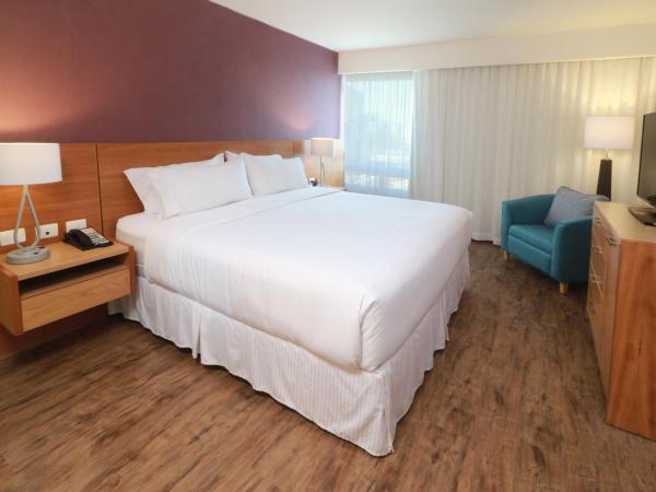 Staybridge Suites Guadalajara Expo, an IHG Hotel : photo 8 de la chambre suite 1 chambre lit king-size avec canapé-lit