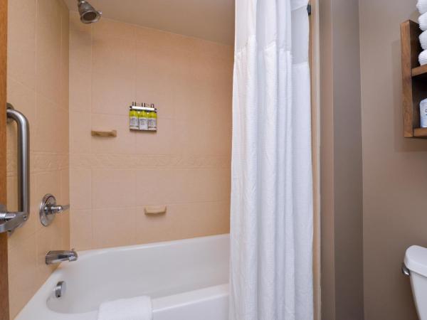 Staybridge Suites Indianapolis Downtown-Convention Center, an IHG Hotel : photo 5 de la chambre suite 1 chambre avec 2 lits doubles