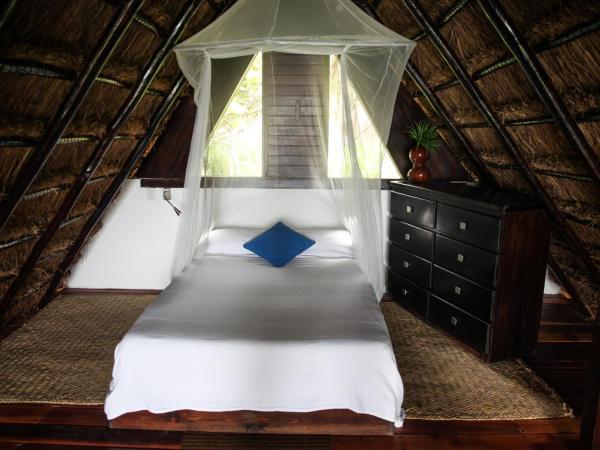 Playa Selva : photo 10 de la chambre bungalow