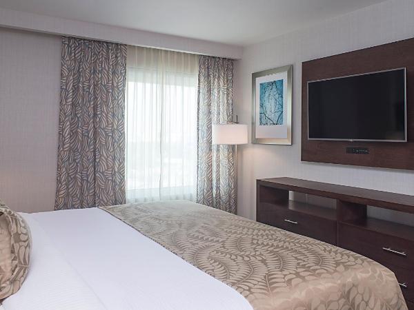 Staybridge Suites Puebla, an IHG Hotel : photo 4 de la chambre suite standard