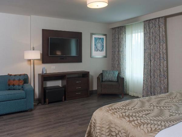 Staybridge Suites Puebla, an IHG Hotel : photo 6 de la chambre suite studio lit queen-size - accès aux personnes à mobilité réduite