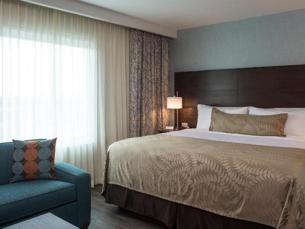 Staybridge Suites Puebla, an IHG Hotel : photo 3 de la chambre suite lit king-size