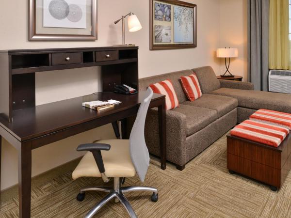 Staybridge Suites San Antonio-Stone Oak, an IHG Hotel : photo 1 de la chambre suite studio lit queen-size - non-fumeurs