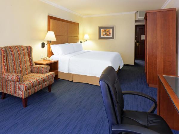 Holiday Inn Express Oaxaca - Centro Historico, an IHG Hotel : photo 1 de la chambre chambre lit king-size standard