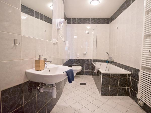 Jacob Brno : photo 6 de la chambre appartement avec terrasse