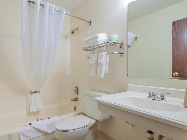 Super 8 by Wyndham Colorado Springs/Chestnut Street : photo 5 de la chambre chambre double avec 2 lits doubles - non-fumeurs