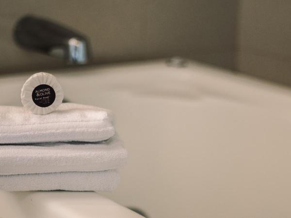 Hotel Fortin Plaza : photo 9 de la chambre chambre exécutive avec 2 lits doubles