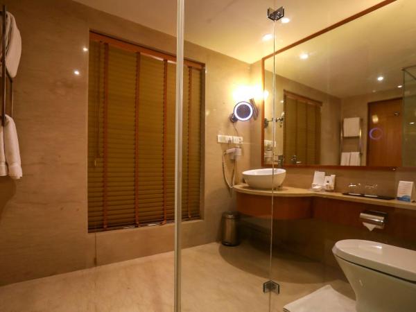 Radisson Blu Hotel Chennai City Centre : photo 9 de la chambre chambre double affaires