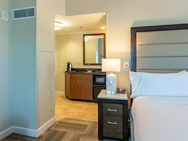 Holiday Inn Express Savannah - Historic District, an IHG Hotel : photo 1 de la chambre chambre lit king-size supérieure