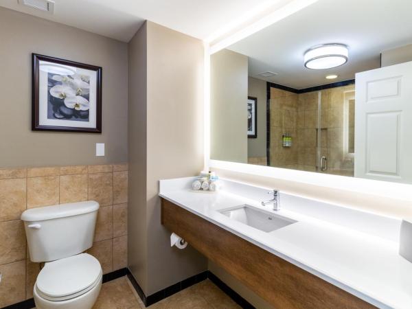 Holiday Inn Express Savannah - Historic District, an IHG Hotel : photo 2 de la chambre chambre standard