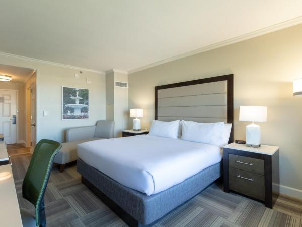 Holiday Inn Express Savannah - Historic District, an IHG Hotel : photo 6 de la chambre chambre lit king-size