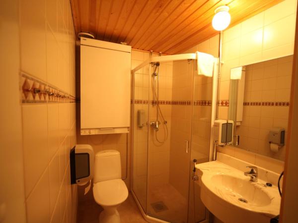 Levi Hotel Spa : photo 5 de la chambre chambre lits jumeaux standard