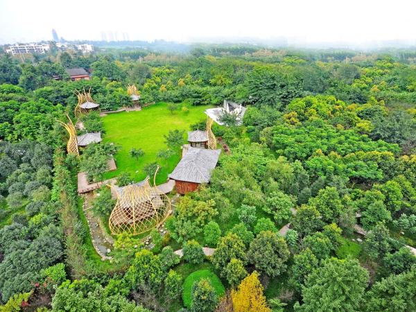 Chengdu Wangjiang Hotel : photo 4 de la chambre chambre affaires exécutive