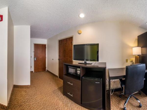 Sleep Inn Columbia : photo 1 de la chambre chambre lit queen-size accessible aux personnes à mobilité réduite - non-fumeurs