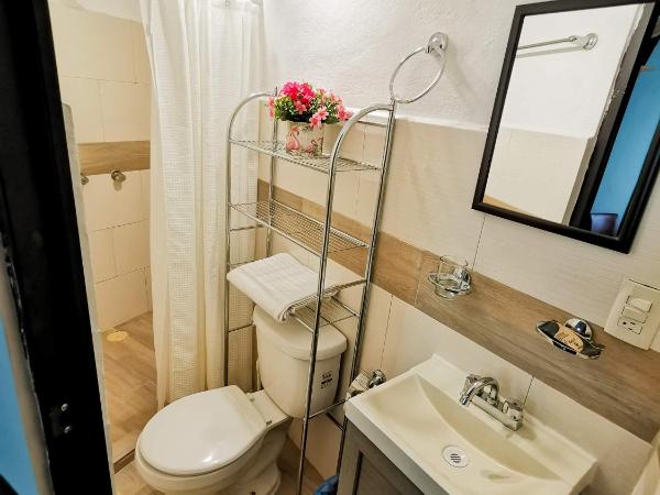 Posada Bugambilia : photo 8 de la chambre appartement - rez-de-chaussée