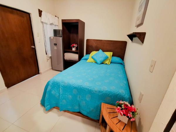 Posada Bugambilia : photo 1 de la chambre appartement - rez-de-chaussée