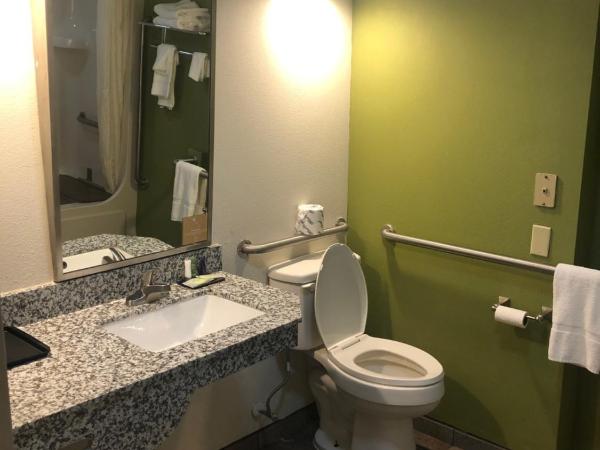 Sleep Inn Columbia : photo 4 de la chambre chambre lit queen-size accessible aux personnes à mobilité réduite - non-fumeurs