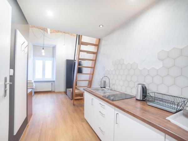 Dizzy Daisy Hostel : photo 5 de la chambre appartement en duplex avec salle de bains privative