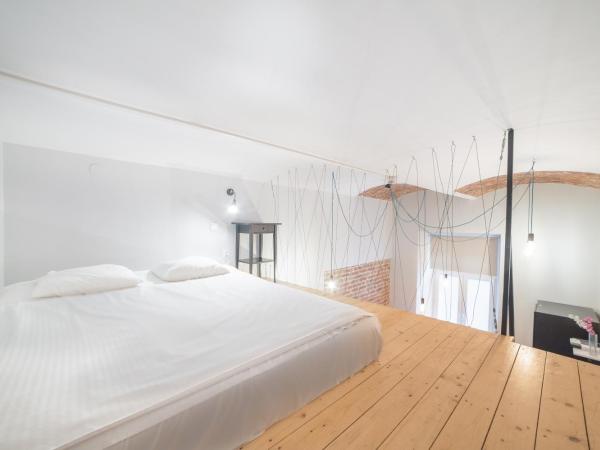 Dizzy Daisy Hostel : photo 3 de la chambre appartement en duplex avec salle de bains privative