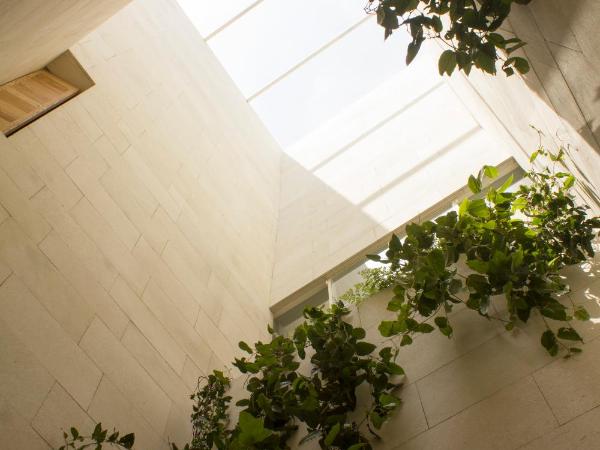 Círculo Mexicano, a Member of Design Hotels : photo 3 de la chambre chambre double avec patio