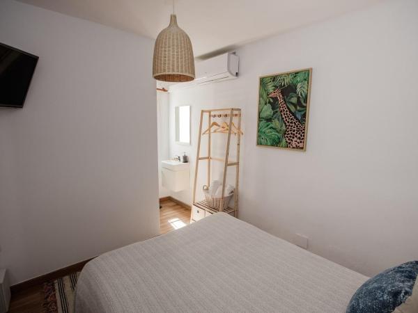 Hostal The Monkey Room : photo 1 de la chambre chambre double standard