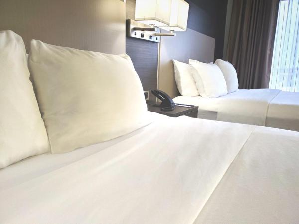 Comfort Suites Northlake : photo 6 de la chambre suite 2 lits queen-size - non-fumeurs